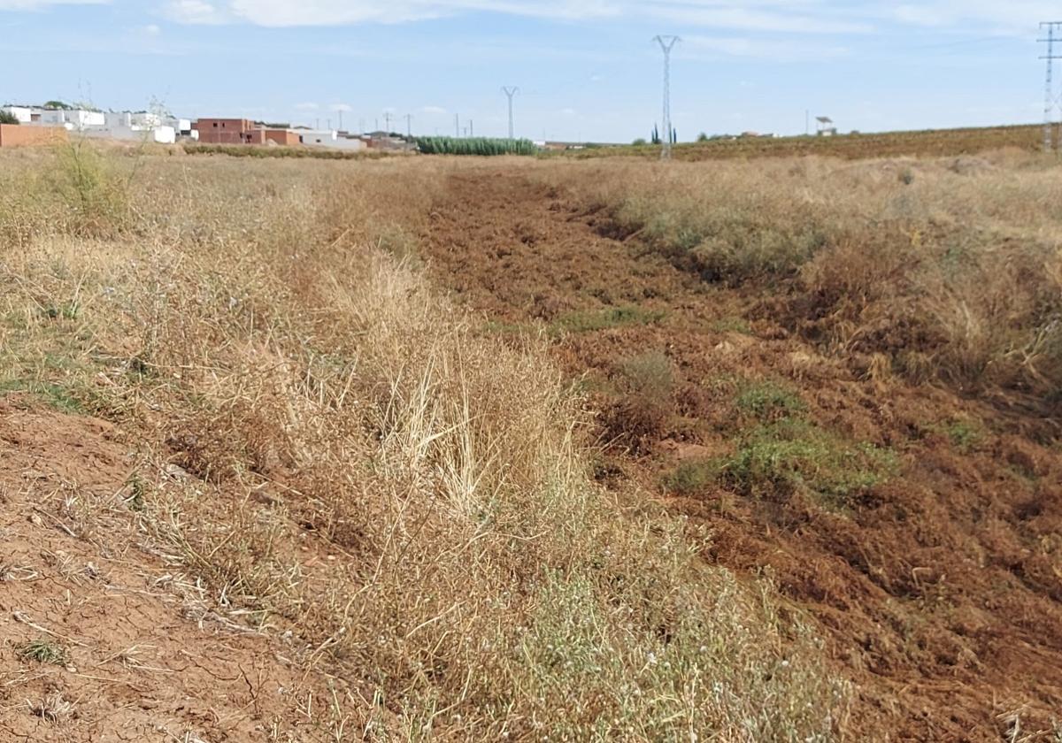 Adenex pide una actuación urgente sobre el cauce del arroyo Charnecal
