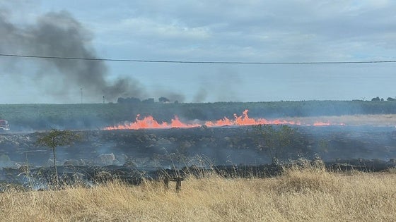 Sofocado un incendio en la zona de San Marcos