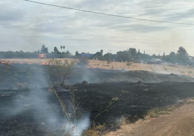 Imagen del incendio ocurrido esta tarde