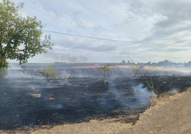 La zona afectada