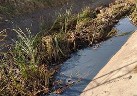 Cauce del arroyo Las Picadas a su paso por la ciudad