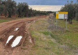 Estado que presenta en la actualidad el camino de la Reyerta