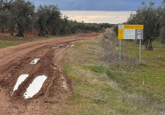 Estado que presenta en la actualidad el camino de la Reyerta