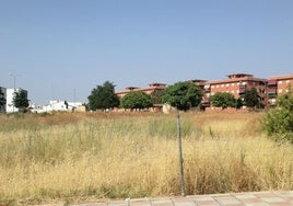 Los solares y parcelas deben quedar libres de hierbas, matorrales y signos de abandono