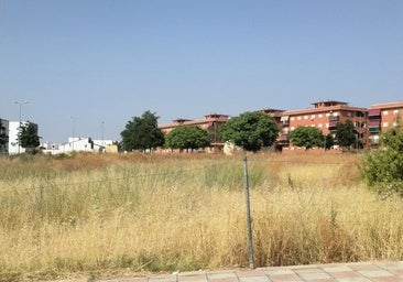 Los solares y parcelas deben quedar libres de hierbas, matorrales y signos de abandono