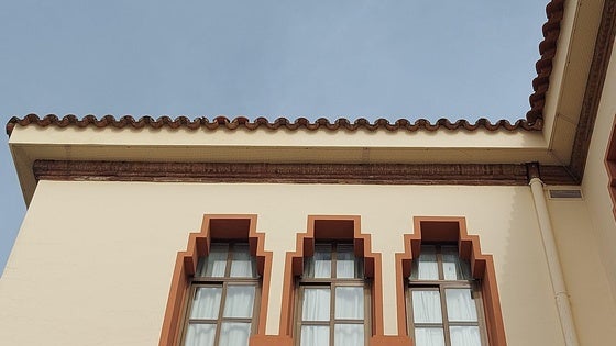 Adenex denuncia la retirada de nidos de avión común en el edificio de la EOI