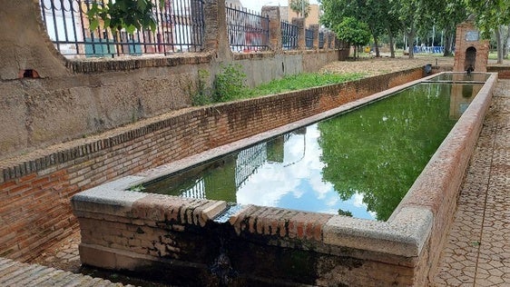 Adenex denuncia el uso del pilar de Las Mercedes para el baño de perros