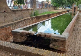 Adenex denuncia el uso del pilar de Las Mercedes para el baño de perros