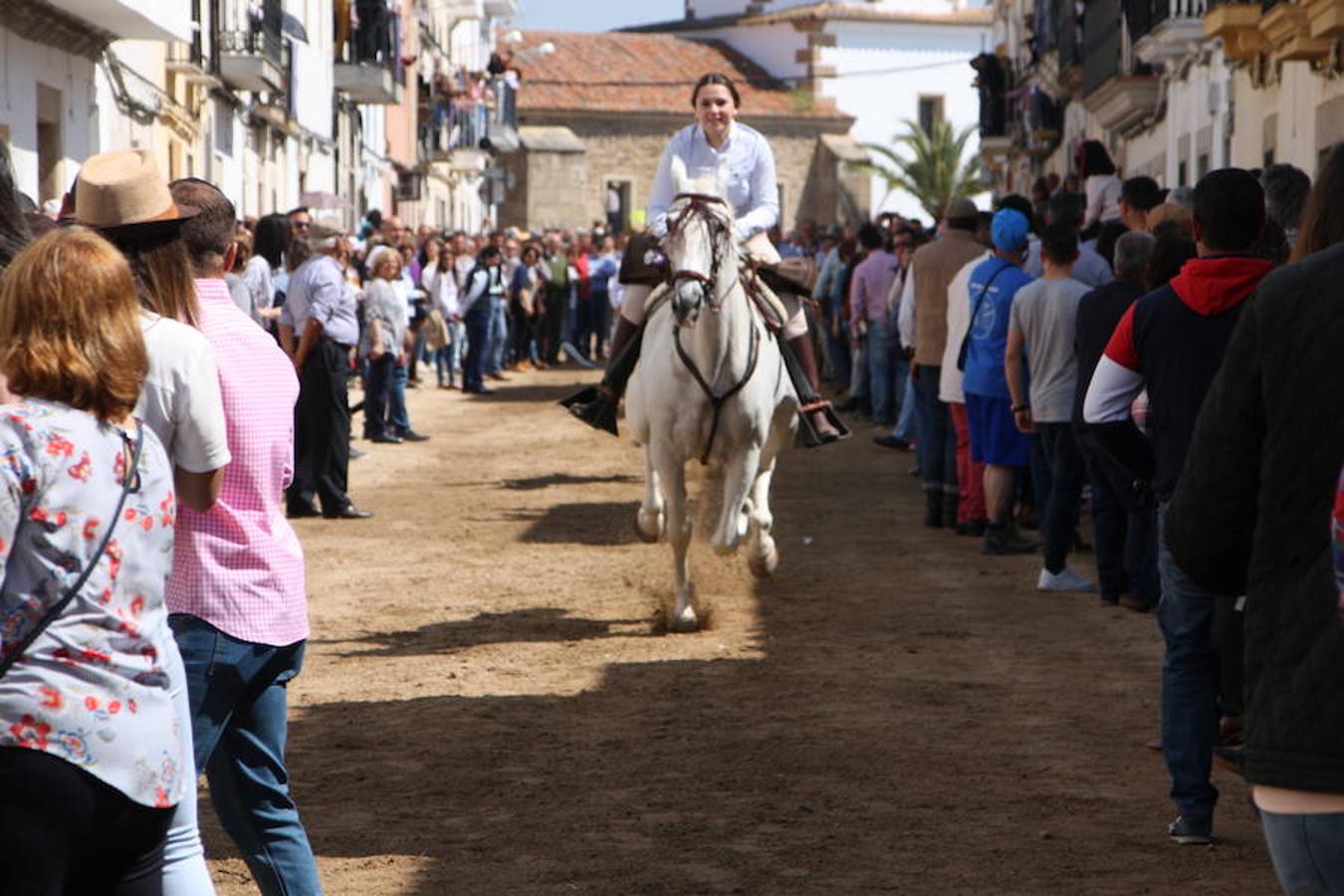 El pasado 22 de abril Arroyo de la Luz volvió a vibrar con el galopar de los caballos que recorrieron la Corredera, ocupada por unas 15.000 personas. En la fiesta participaron 160 jinetes y 4 carrozas, con unos 450 participantes. 
