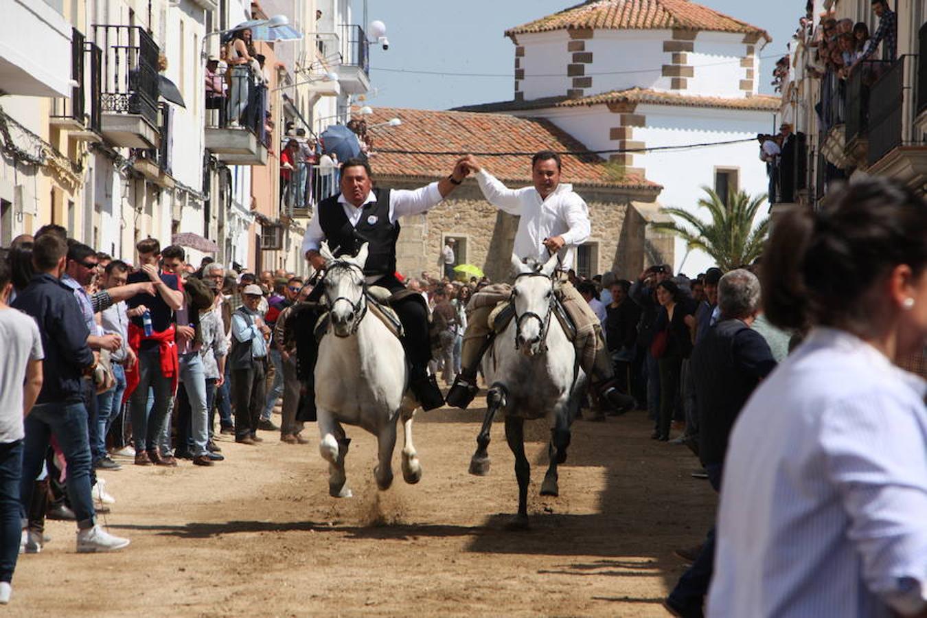 El pasado 22 de abril Arroyo de la Luz volvió a vibrar con el galopar de los caballos que recorrieron la Corredera, ocupada por unas 15.000 personas. En la fiesta participaron 160 jinetes y 4 carrozas, con unos 450 participantes. 