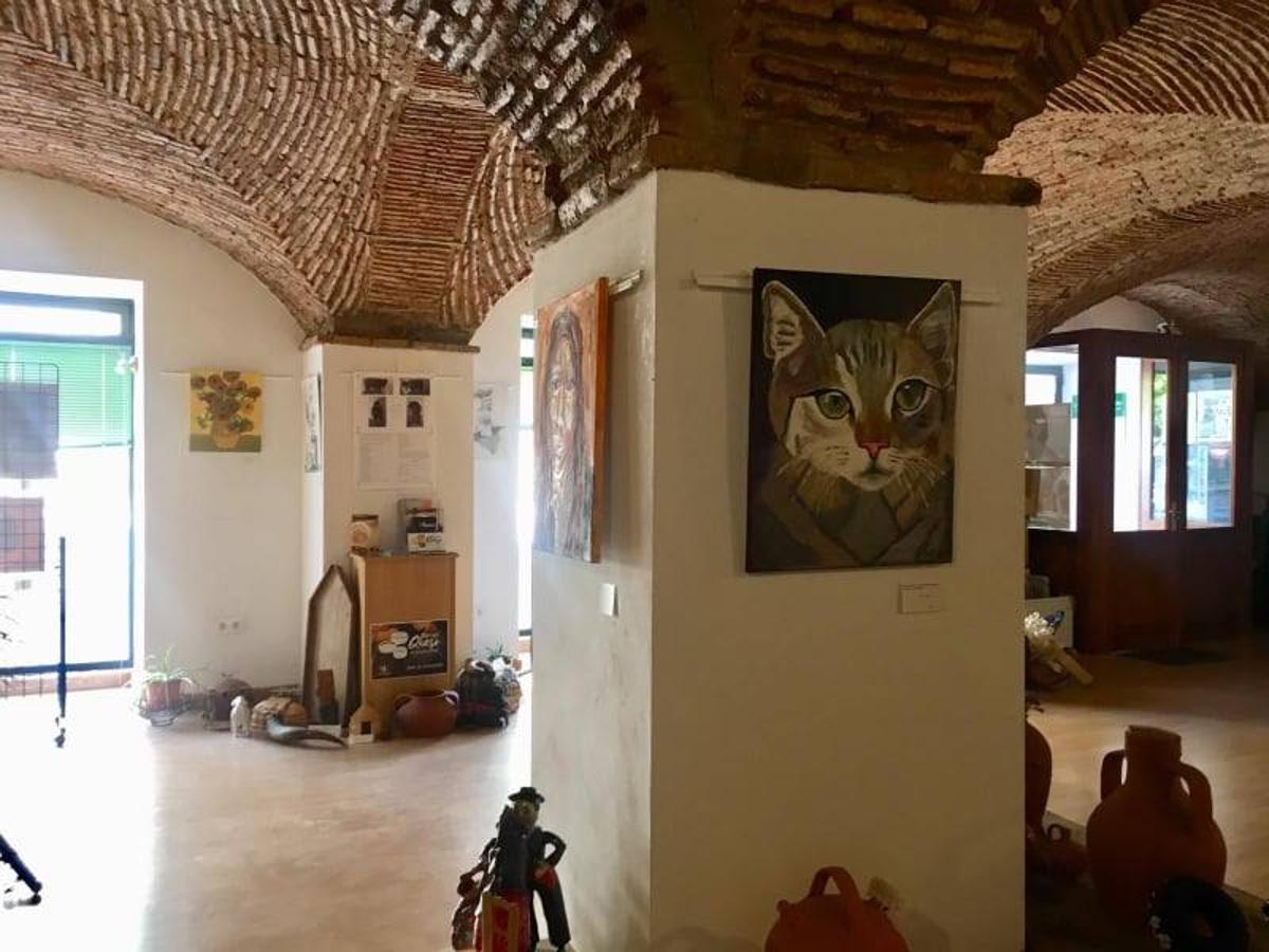 Los 16 alumnos del grupo de adultos de la Escuela Arte 16 inauguraron su exposición final de curso en la Oficina de Turismo de Arroyo de la Luz.