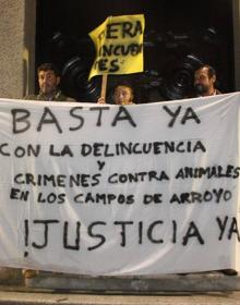 Imagen secundaria 2 - Unos 250 vecinos de Arroyo de la Luz protestan ante años de delitos en los campos locales