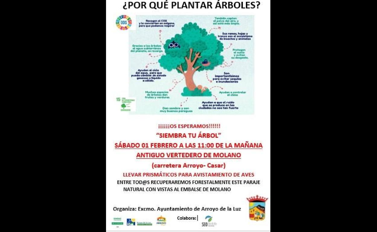 Arroyo de la Luz organiza una plantación de árboles para recuperar el paraje del antiguo vertedero de Molano