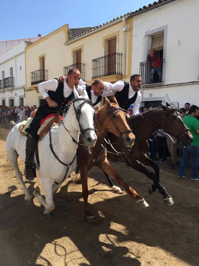 Fotos: Así se vivió el Día de la Luz el pasado 2019