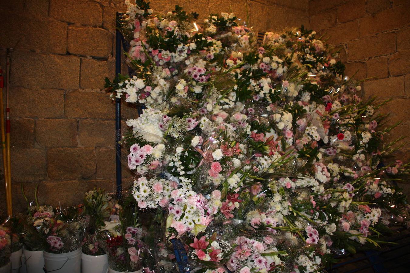 Fotos: Bajada de la Virgen de la Luz 2019