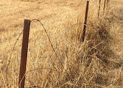 Imagen secundaria 1 - Algunas de las zonas en las que se produjeron los daños. 