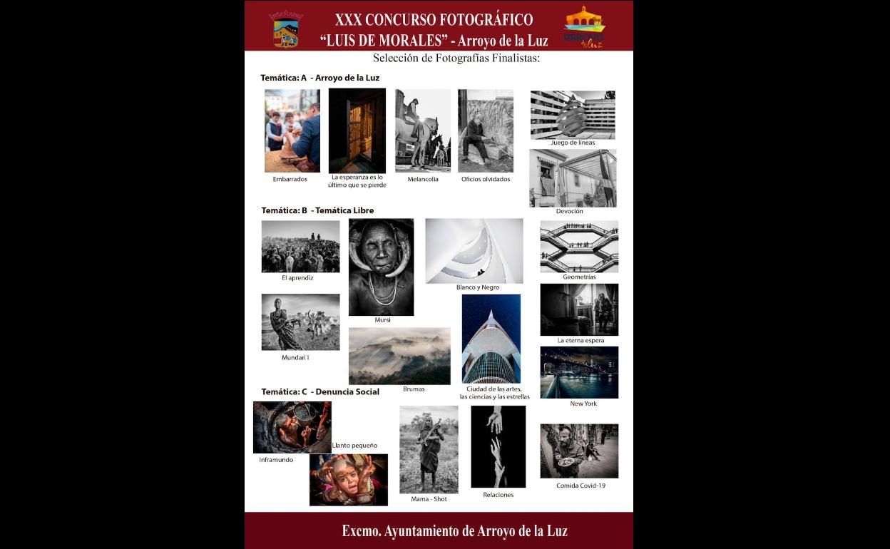 Fotografías finalistas. 