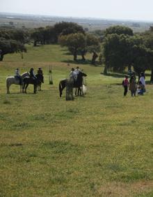 Imagen secundaria 2 - Varios grupos de caballistas durante esta mañana. 
