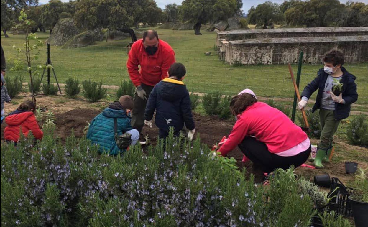 El Centro de Interpretación cuenta con un nuevo huerto ecológico gracias a la actividad 'La Botica de la Dehesa'