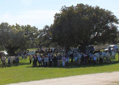 Imagen secundaria 1 - La Misa Campera puso el broche de oro a las XXXI Jornadas Culturales del Caballo