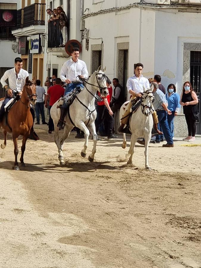 Fotos: Día de la Luz 2022