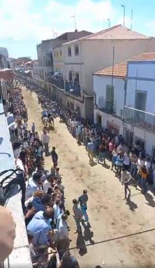 Fotos: Día de la Luz 2022