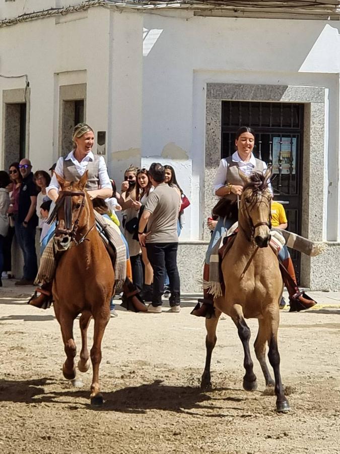 Fotos: Día de la Luz 2022