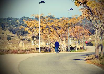 Imagen secundaria 1 - La &#039;Dehesa de la Luz&#039; es declarada Parque Periurbano de Conservación y Ocio