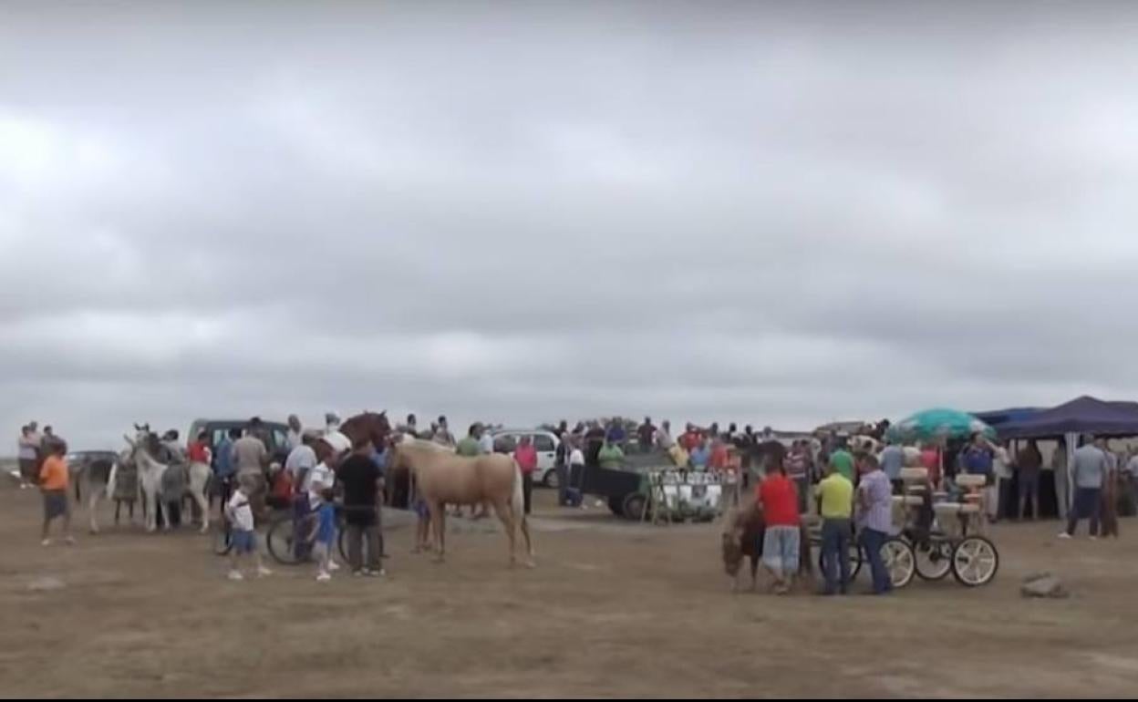 La Charca Grande acoge la V edición de la Feria de Ganado de Arroyo de la Luz