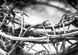 La Banda de Música ofrece un Concierto de Marchas Procesionales