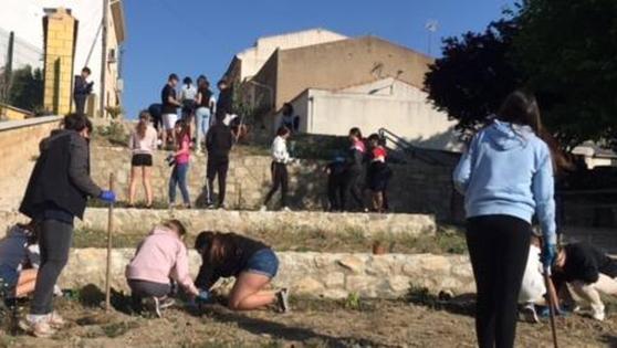 Alumnos del IES Luis de Morales participan en una plantación