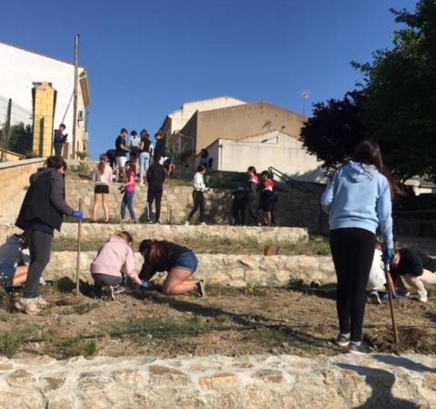 Alumnos del IES Luis de Morales participan en una plantación