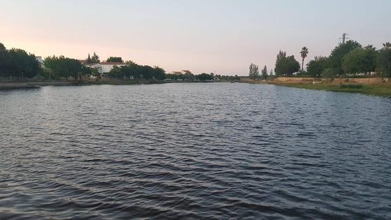 Suelta de tencas en el río Pontones