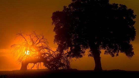 Juan Luis Bermejo gana el Certamen Fotográfico de Medio Ambiente de Arroyo de la Luz