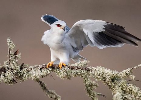Imagen secundaria 1 - Juan Luis Bermejo gana el Certamen Fotográfico de Medio Ambiente de Arroyo de la Luz
