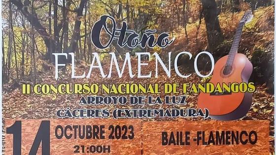 Noche de flamenco en Arroyo de la Luz
