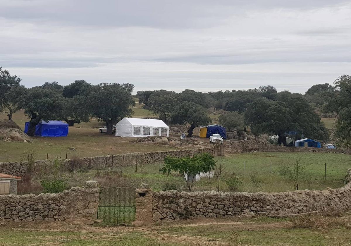 Imagen principal - Los arroyanos acompañaron un año más a San Pedrino