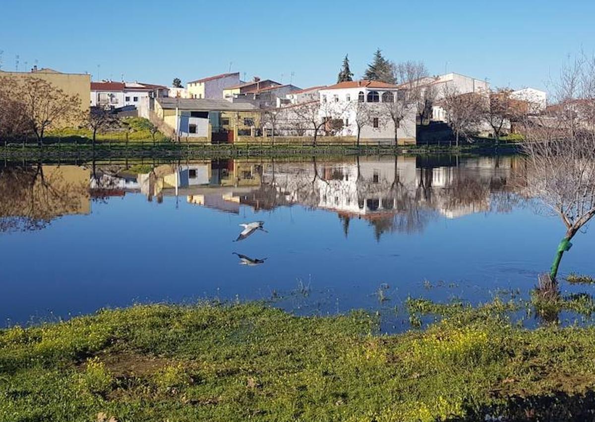 Imagen secundaria 1 - Arriba, la espuma producto de la fuerza del agua. Debajo, una garza disfrutando del explendido entorno arroyano.