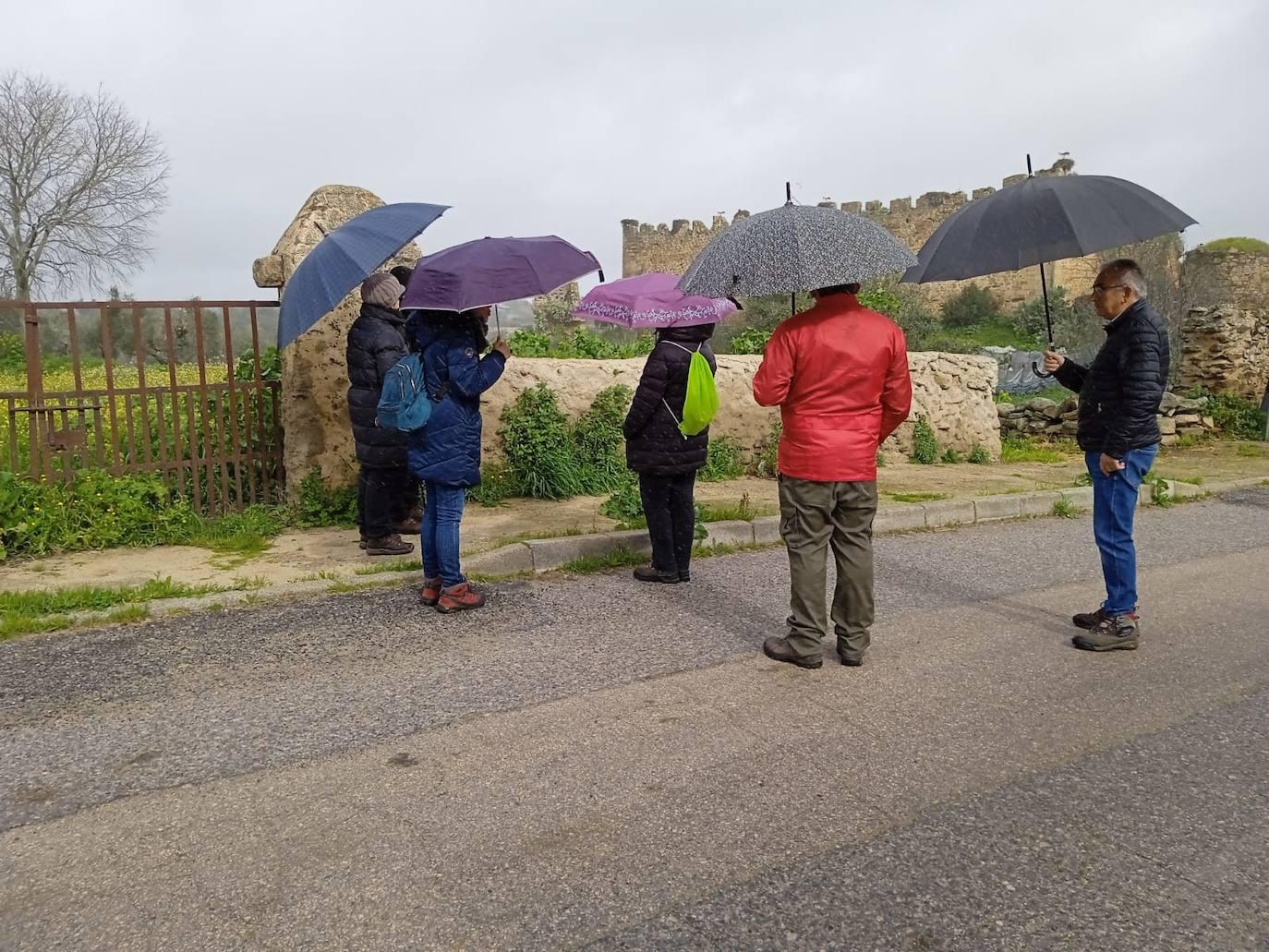 XX Fiesta Gastronómica Coles con Buche