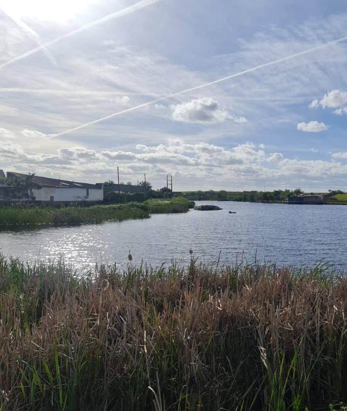 Imagen secundaria 2 - Charcas Chica y Grande con mucha agua.