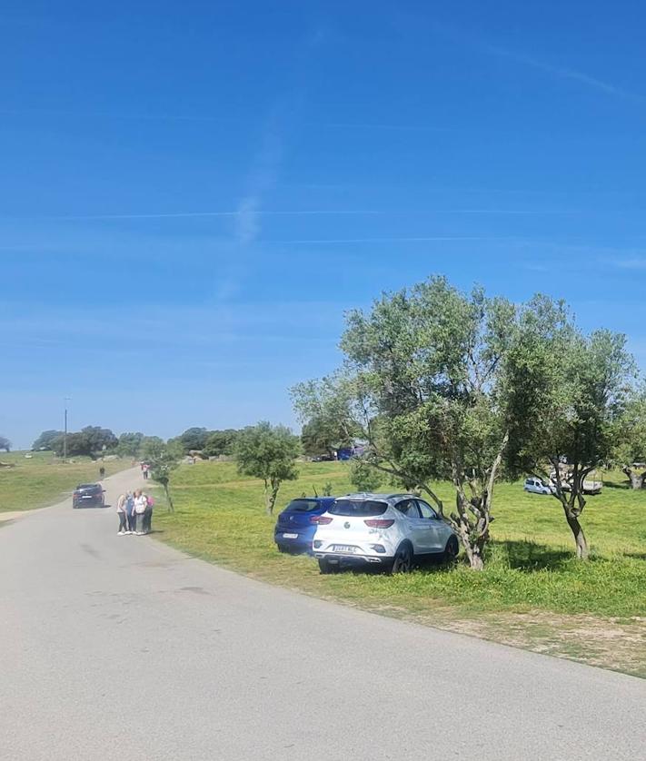 Imagen secundaria 2 - Los arroyanos arroparon una vez más a su patrona en la vuelta a su santuario