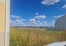 El plazo para la limpieza de solares y parcelas finaliza el 1 de junio