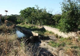 Huertas arroyanas.