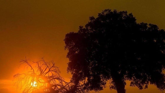 Convocado el Certamen Fotográfico Medioambiental Arroyo de la Luz 2024