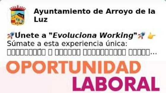 Formación y empleo con Evoluciona Working