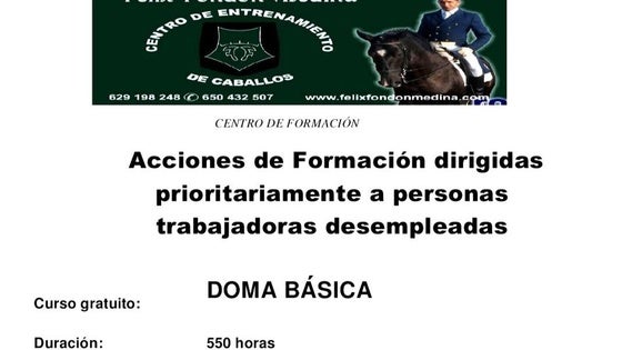 El Centro de Entrenamiento de Caballos Félix Fondón ofrece un curso de Doma Básica