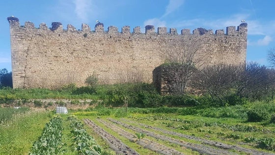 Castillo