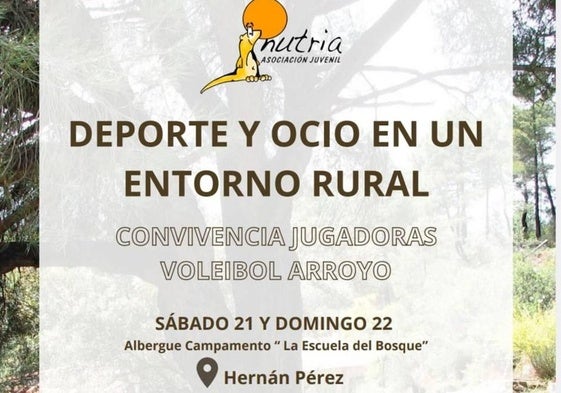El club de voleibol organiza una convivencia deportiva para alevines, infantiles y cadetes