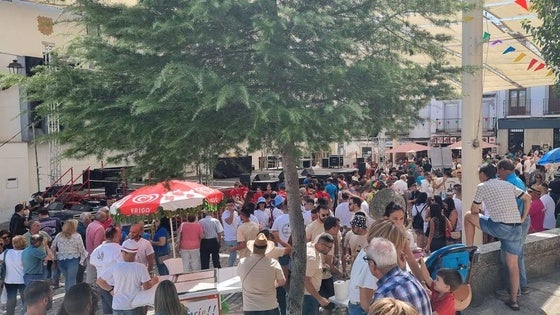 El Multitudinario Día de las Peñas llenó de color las calles de la localidad