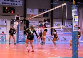 Fabiola Ortega volvió a ser la máxima bloqueadora de su equipo.